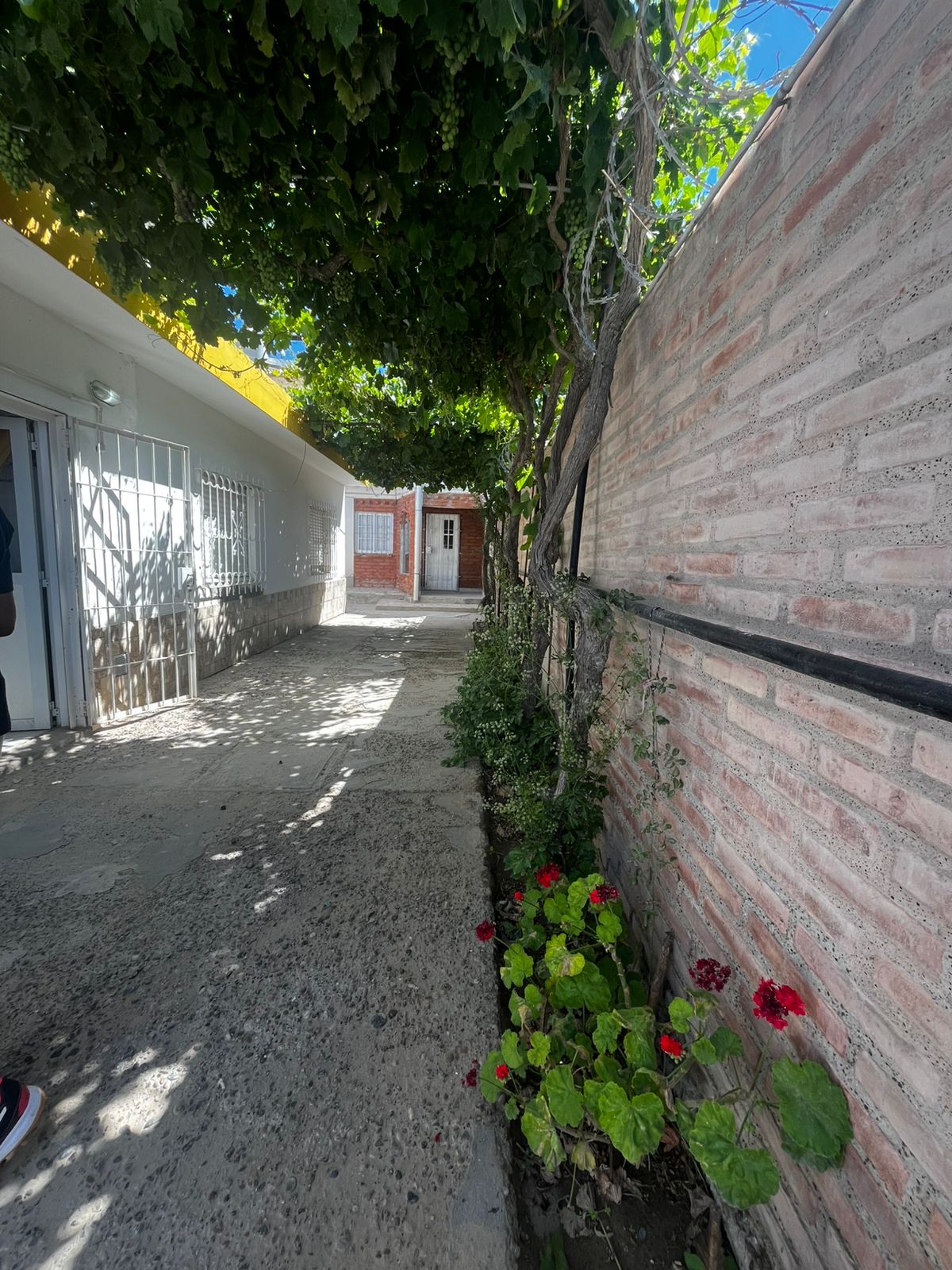 Imagen de Casa con departamento - Barrio Oeste 